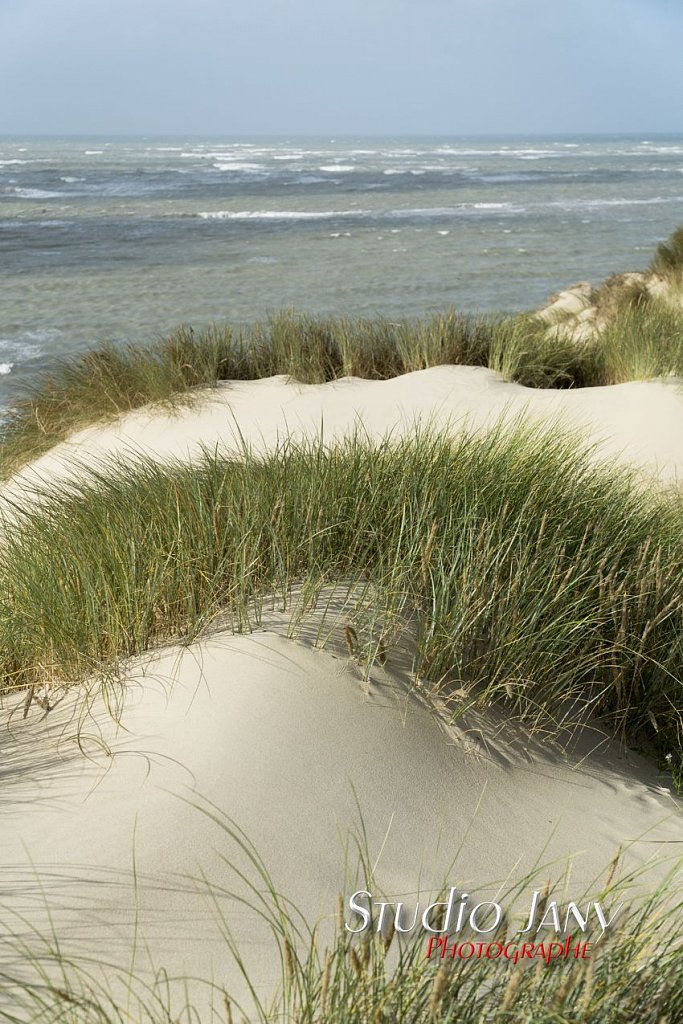 Berck-sur-Mer-0467.jpg