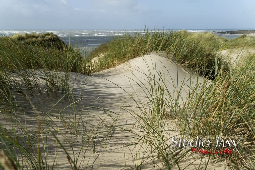 Berck-sur-Mer-0468.jpg