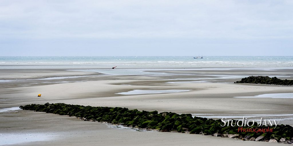 Berck-sur-Mer-0230.jpg