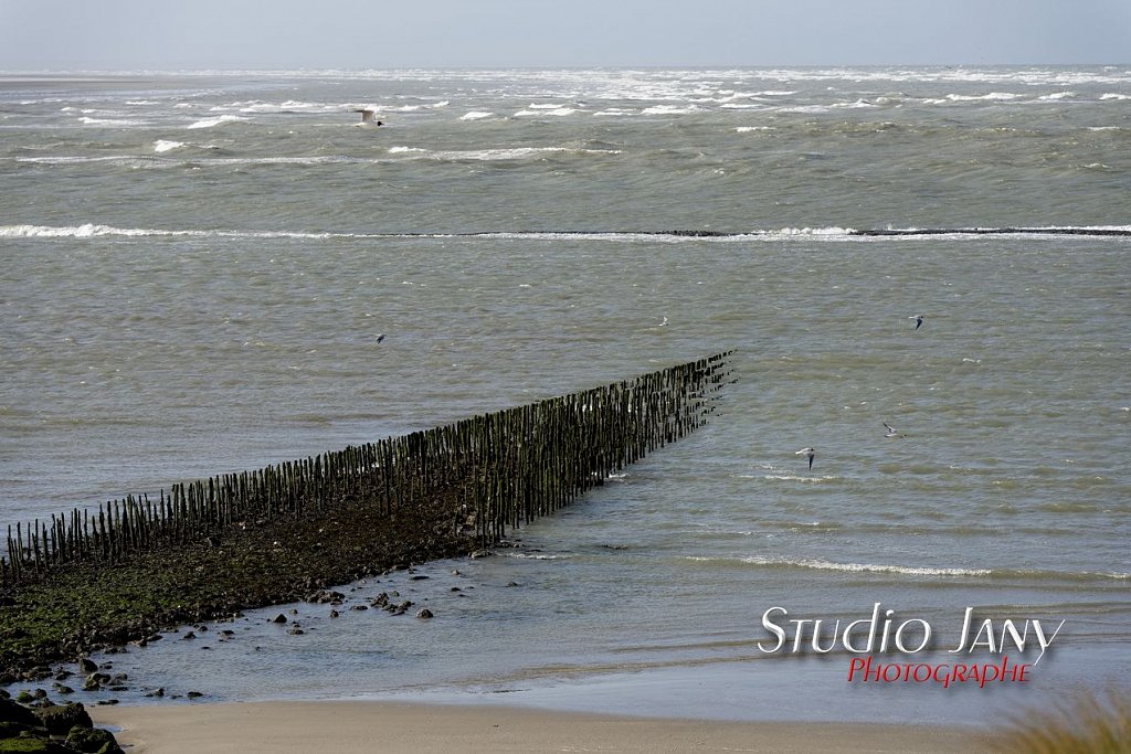 Berck-sur-Mer-0296.jpg