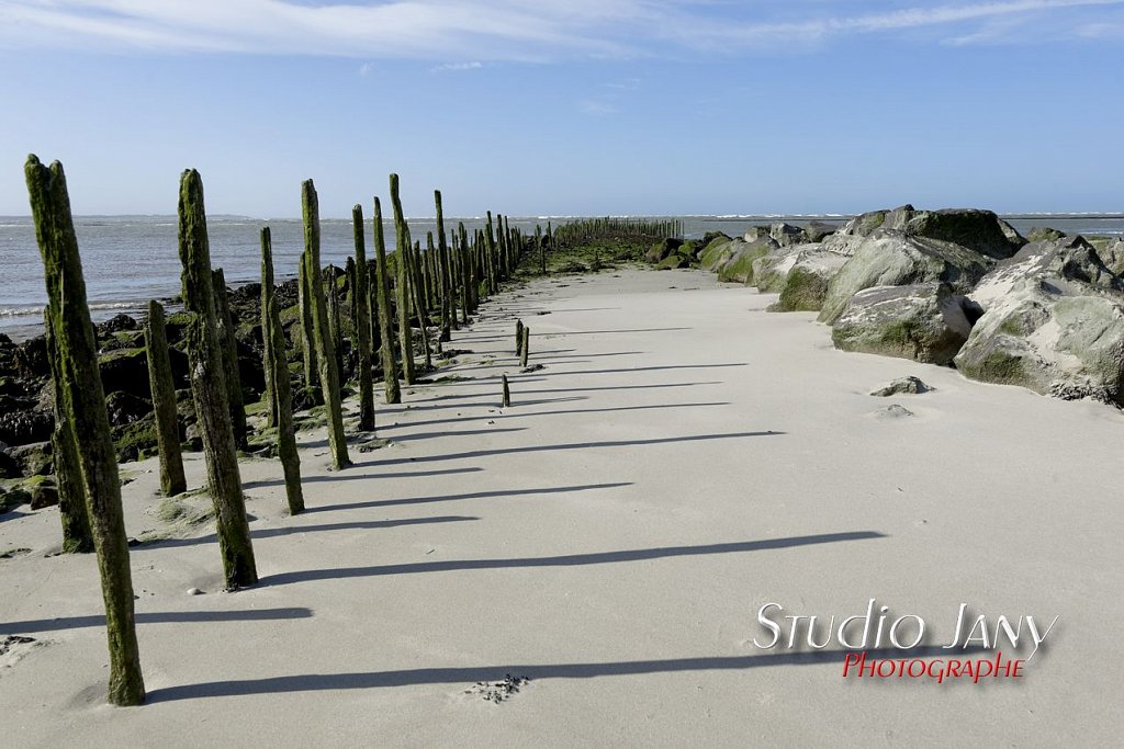 Berck-sur-Mer-0299.jpg