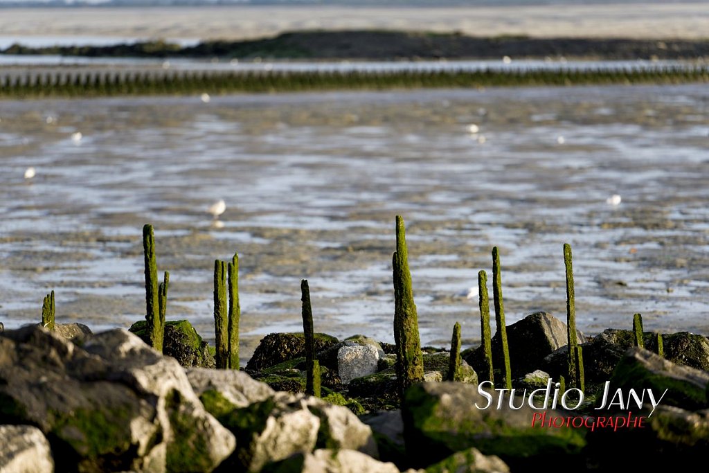 Berck-sur-Mer-0334.jpg