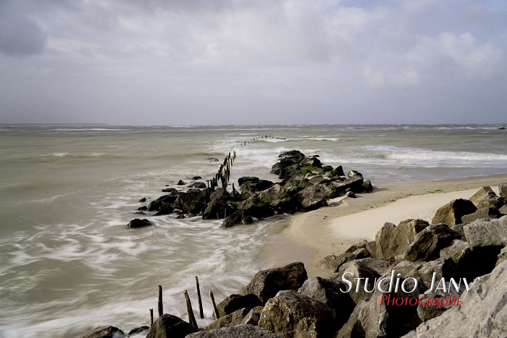 Berck-sur-Mer-0464.jpg