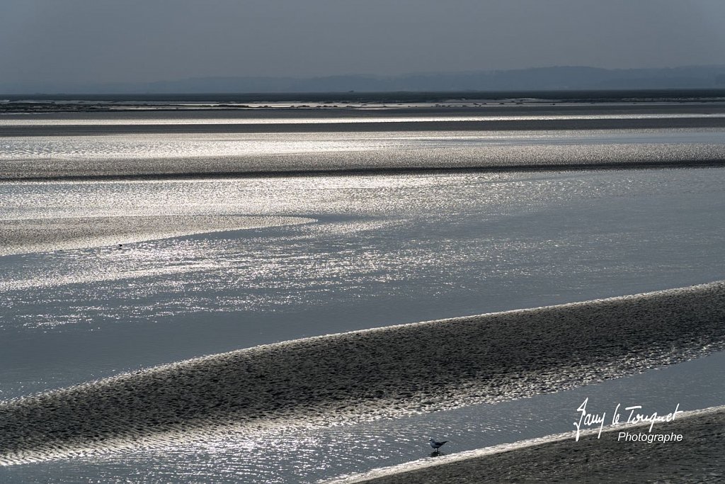 Baie-de-Somme-0093.jpg