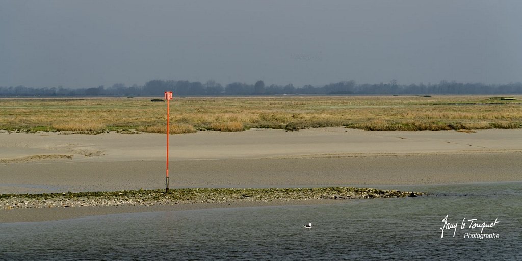 Baie-de-Somme-0097.jpg