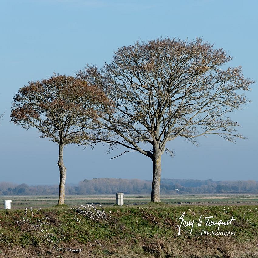 Baie-de-Somme-0151.jpg