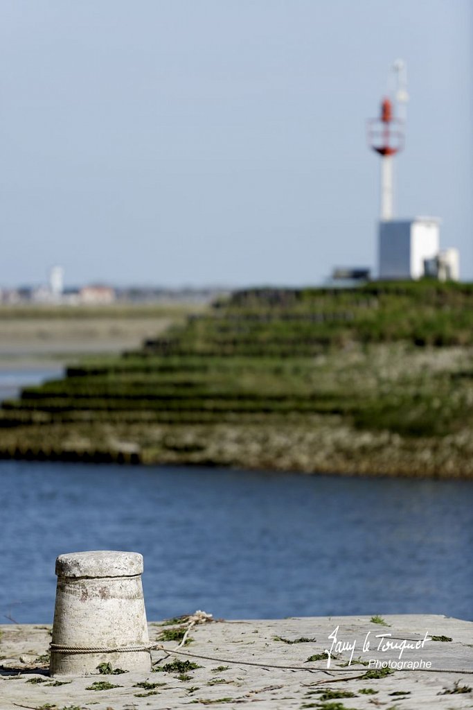 Baie-de-Somme-0053.jpg