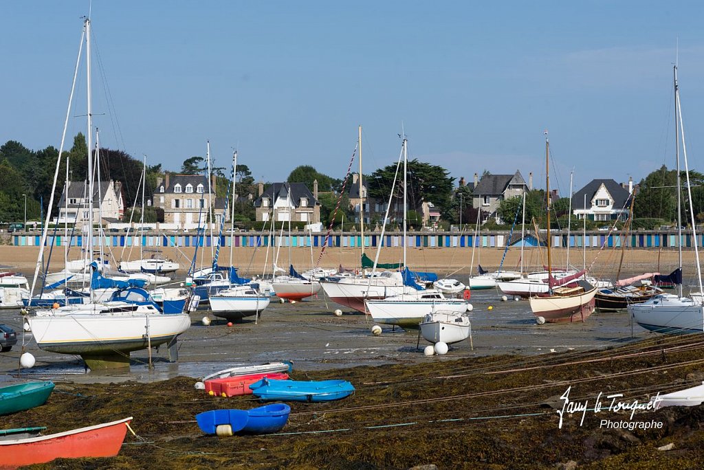 Ille-et-Vilaine-0168.jpg