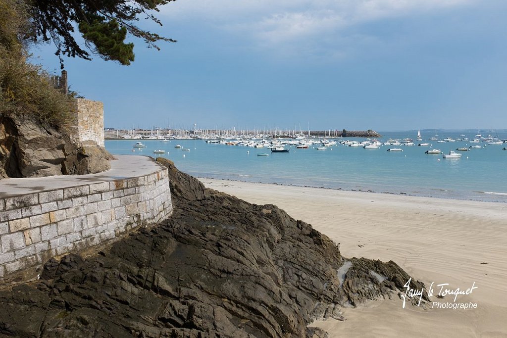 Ille-et-Vilaine-0207.jpg