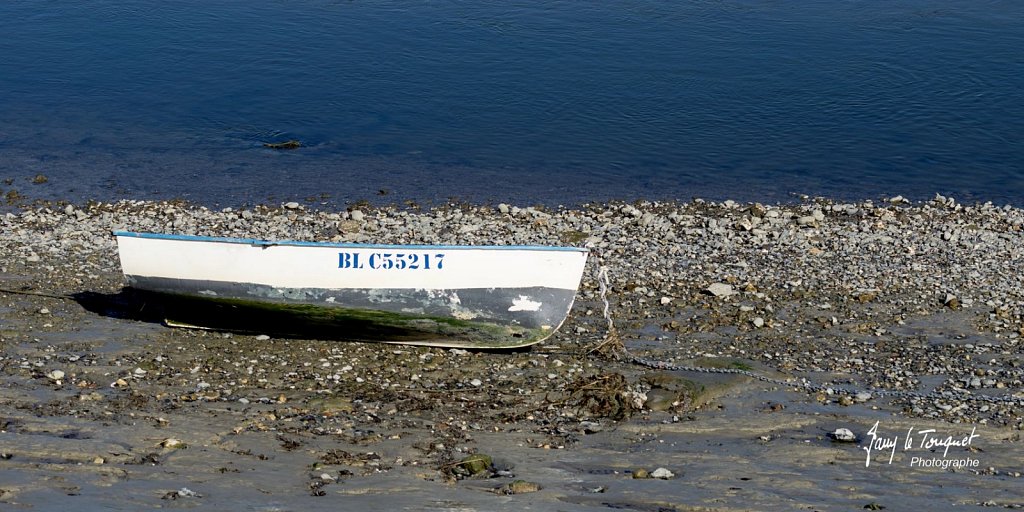 Baie-de-Somme-0175.jpg