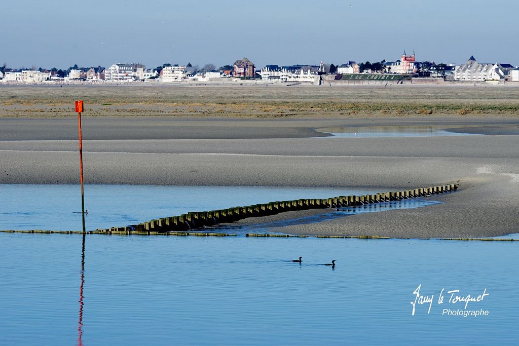 Baie-de-Somme-0181.jpg