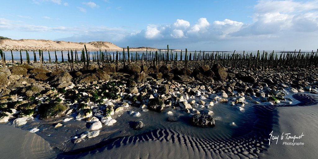 Berck-sur-Mer-0548.jpg