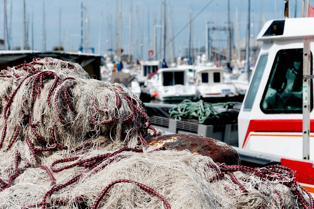 Boulogne-sur-Mer-0775.jpg