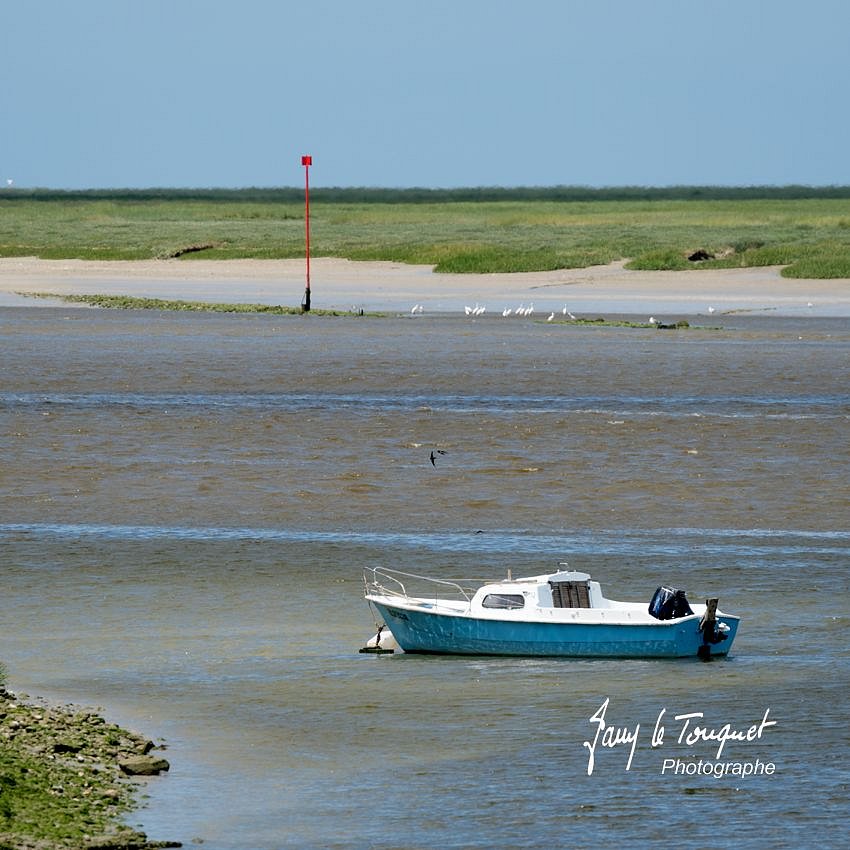 Baie-de-Somme-0242.jpg