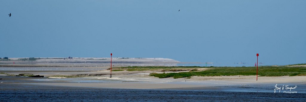 Baie-de-Somme-0243.jpg