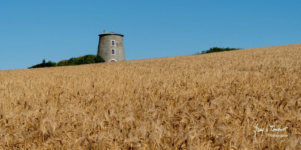 Cap-Blanc-Nez-0115.jpg