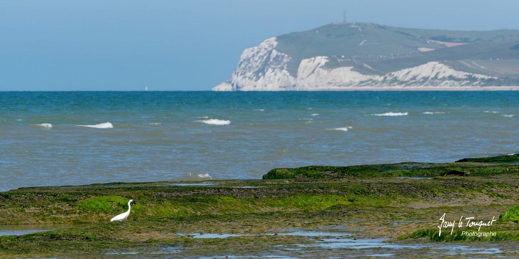 Cap-Blanc-Nez-0128.jpg