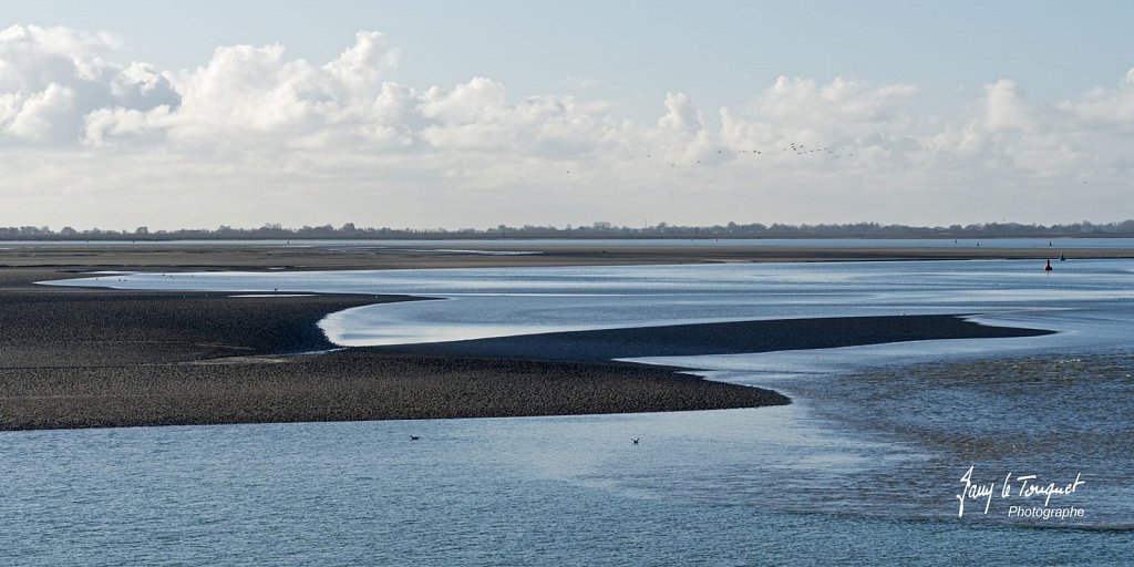 Baie-de-Somme-0277.jpg