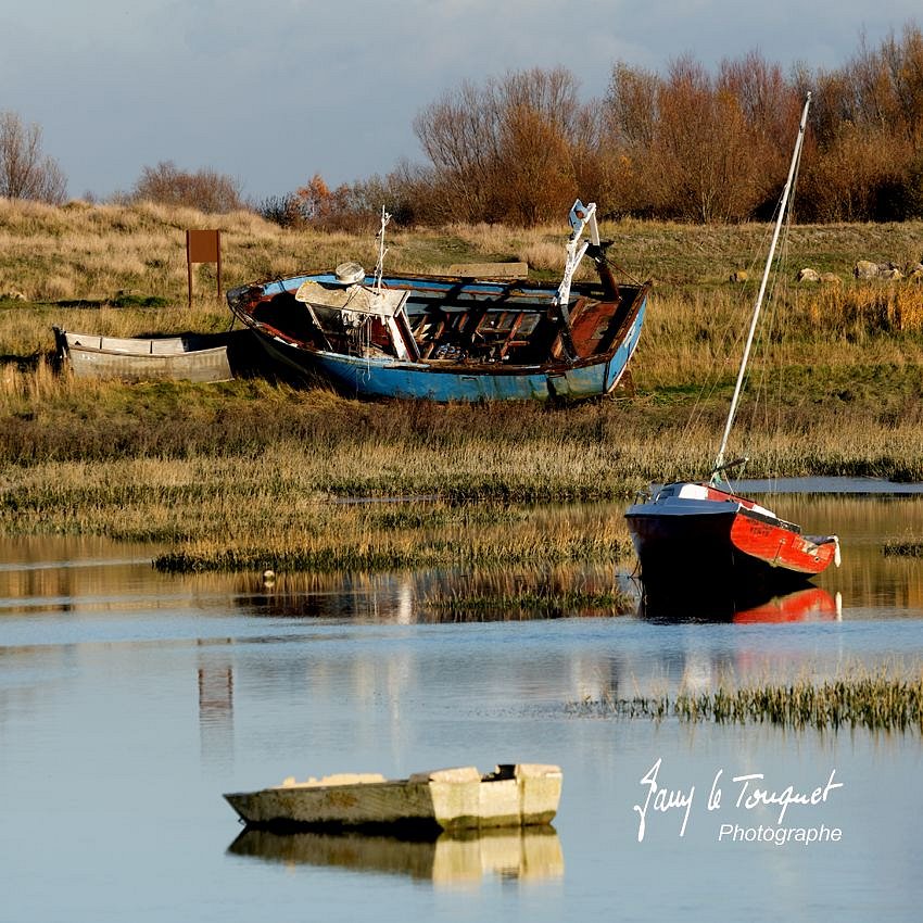 Baie-de-Somme-0283.jpg