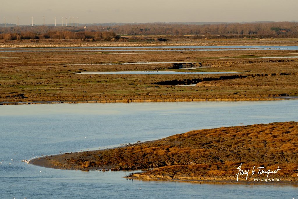 Baie-de-Somme-0287.jpg