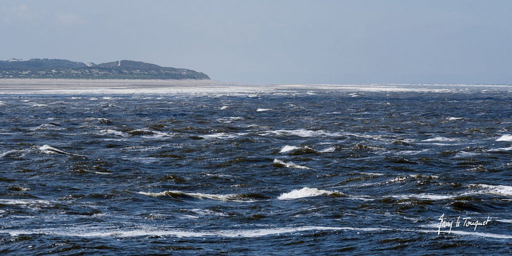 Berck-sur-Mer-0640.jpg