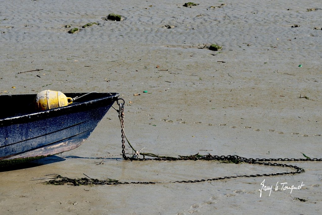 Baie-de-Somme-0315.jpg