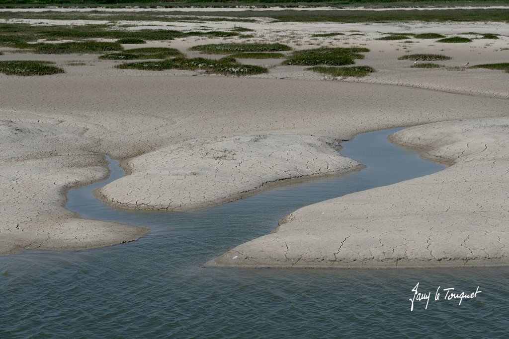 Baie-de-Somme-0337.jpg