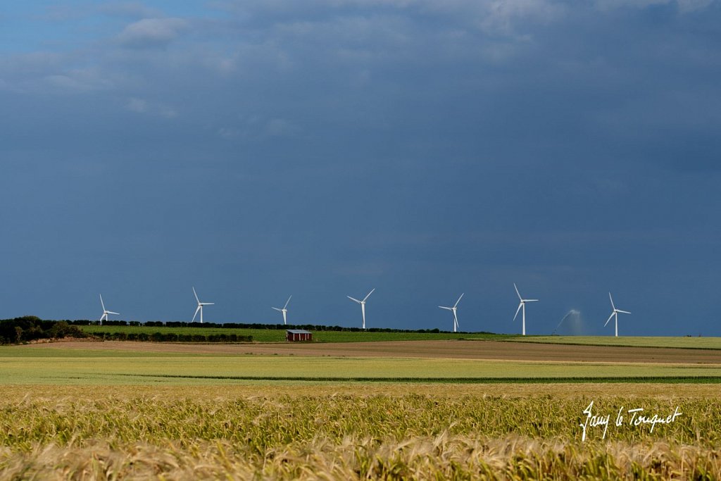 Notre-Campagne-0321.jpg
