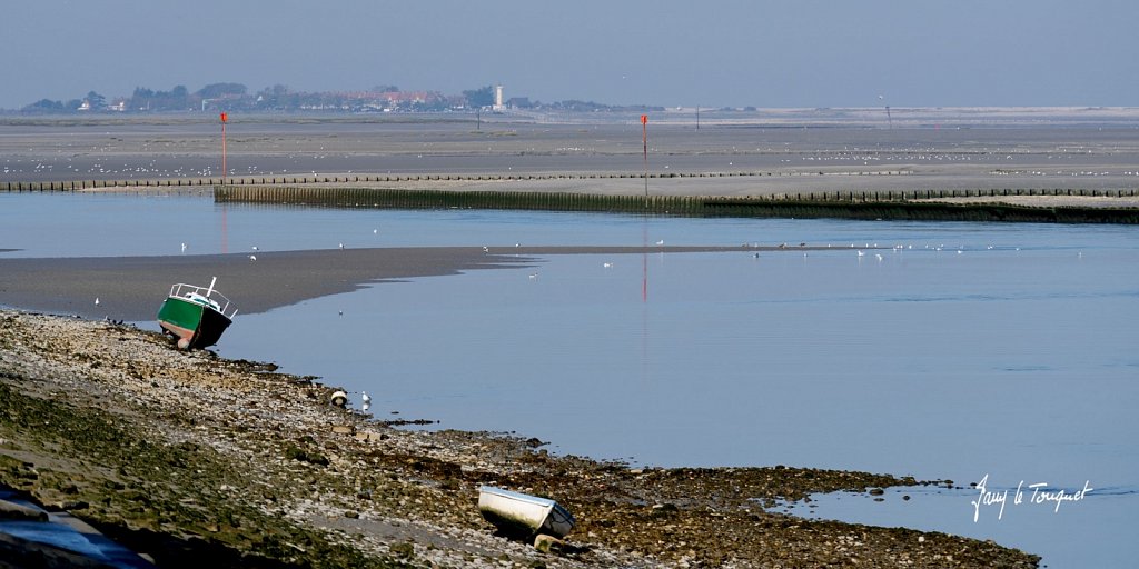 Baie-de-Somme-0346.jpg