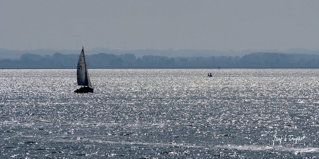 Baie-de-Somme-0347.jpg