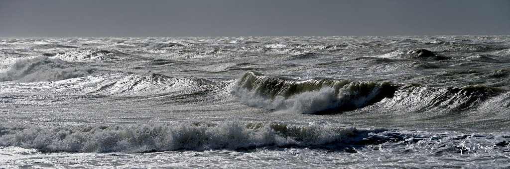 Berck-sur-Mer-0693.jpg