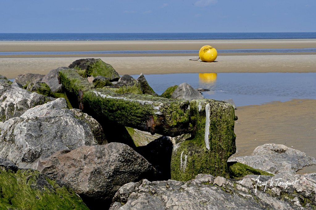 Berck-sur-Mer-0774.jpg