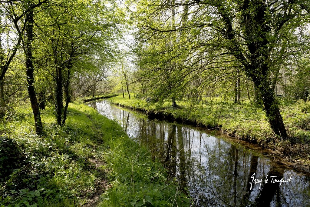 Notre-Campagne-0358.jpg