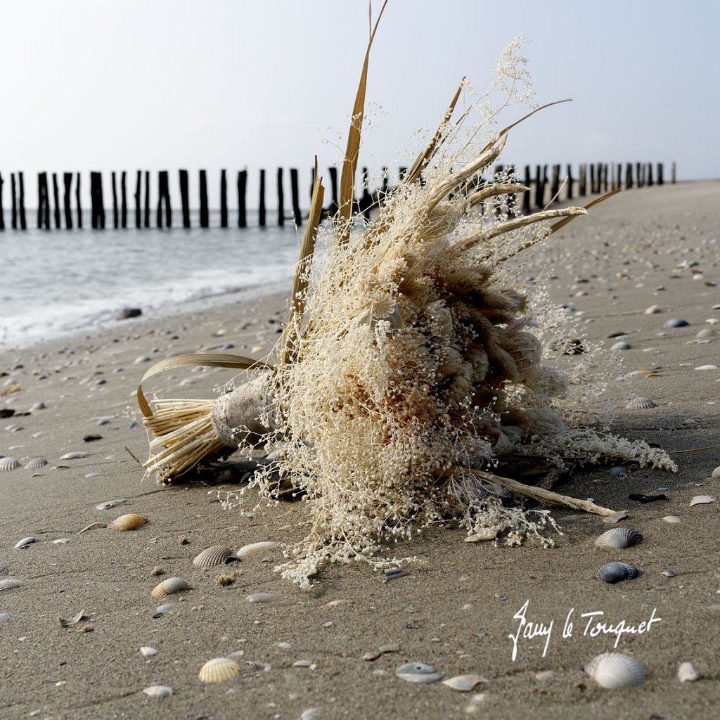 Berck-sur-Mer-0782.jpg