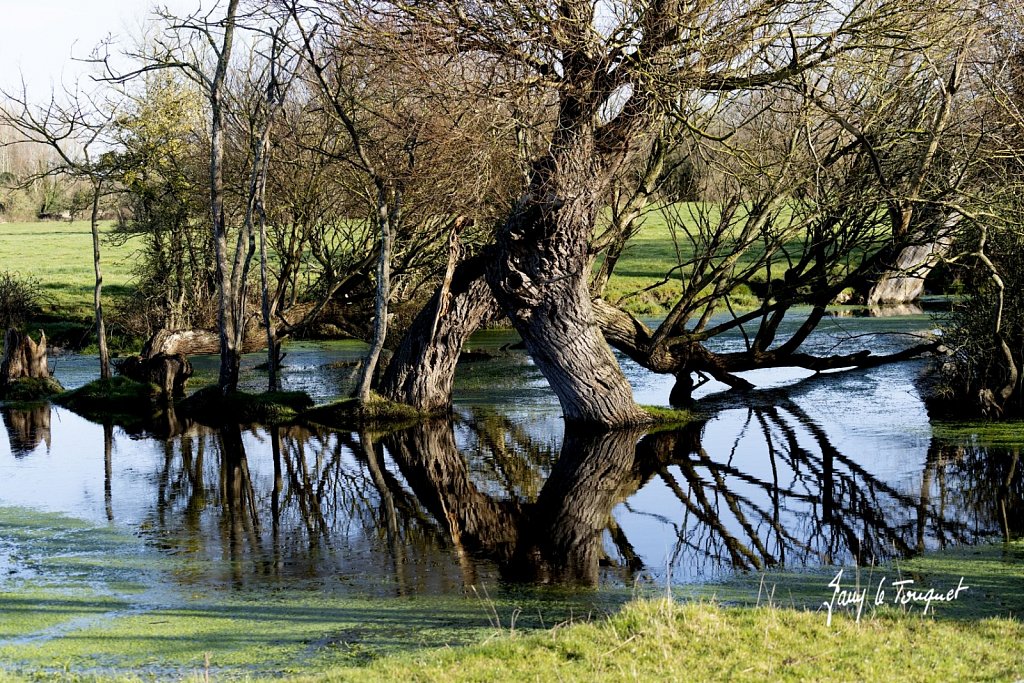 Notre-Campagne-0369.jpg
