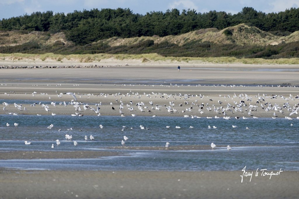 Le-Touquet-0975.jpg