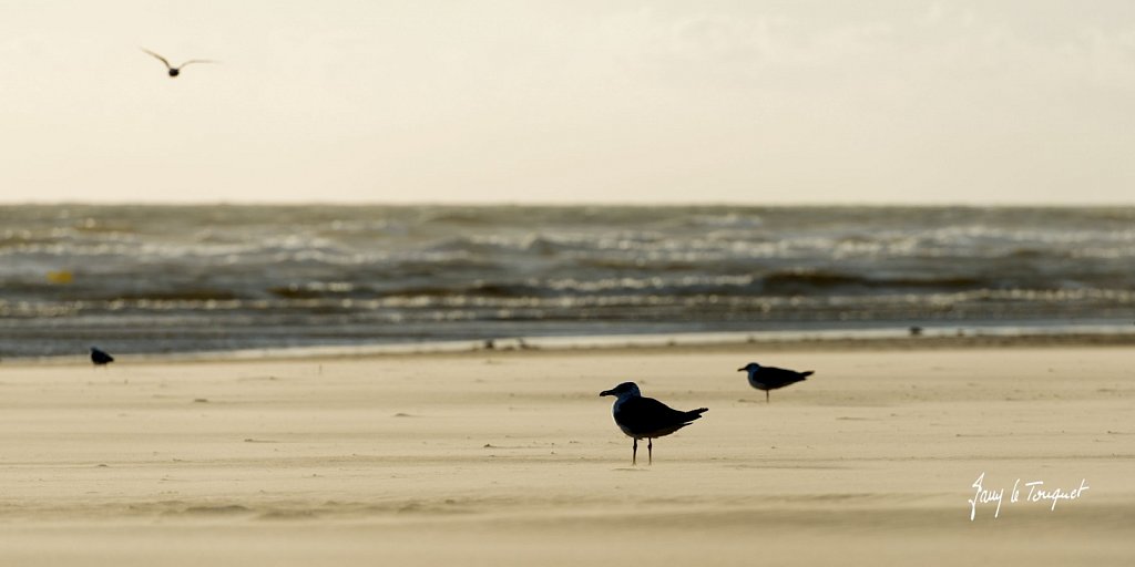 Le-Touquet-1196.jpg