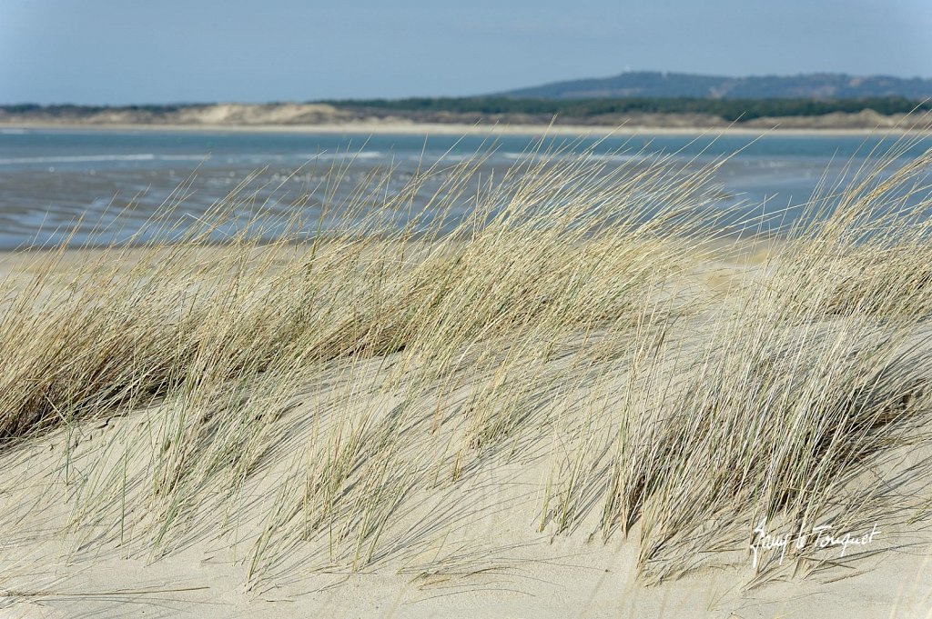 Le-Touquet-0297.jpg