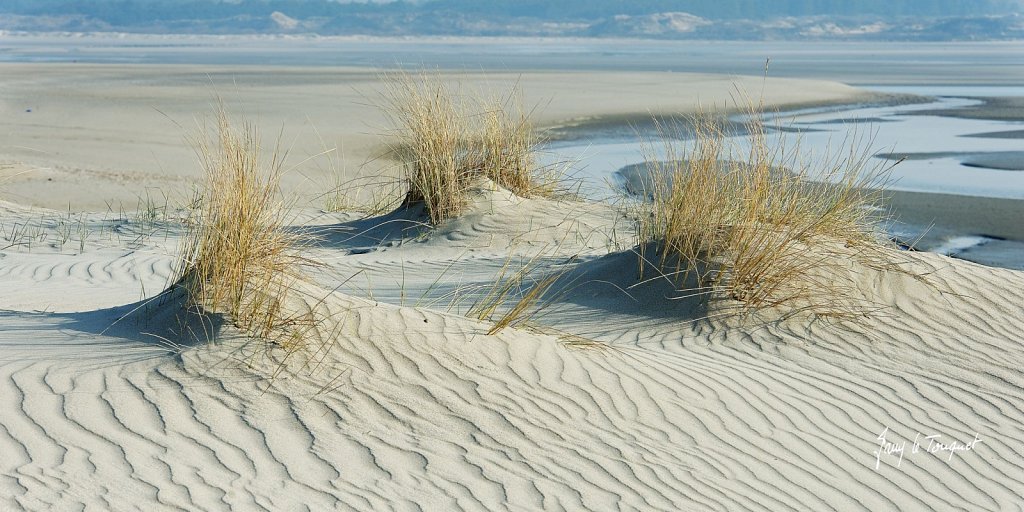 Le-Touquet-0323.jpg