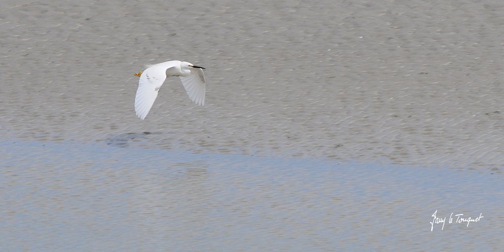Le-Touquet-0334.jpg