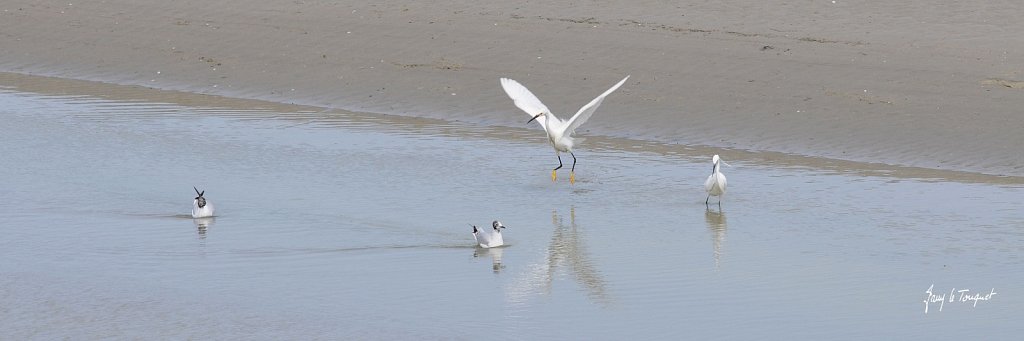Le-Touquet-0336.jpg