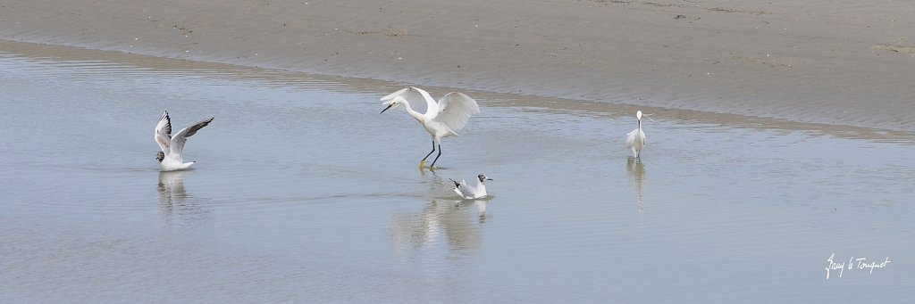 Le-Touquet-0337.jpg