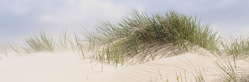 Le-Touquet-0340.jpg
