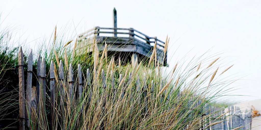 Le-Touquet-0697.jpg