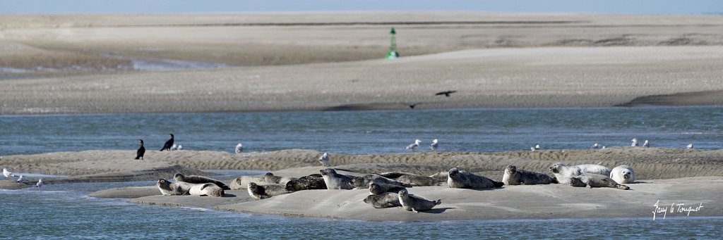 Le-Touquet-0973.jpg