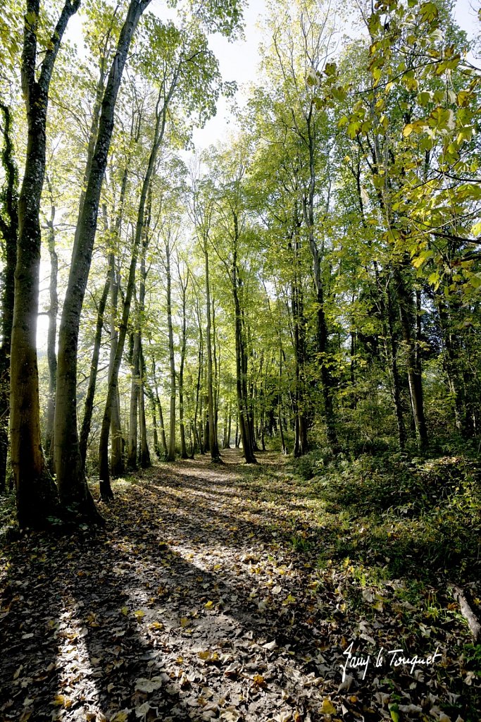 Notre-Campagne-0378.jpg